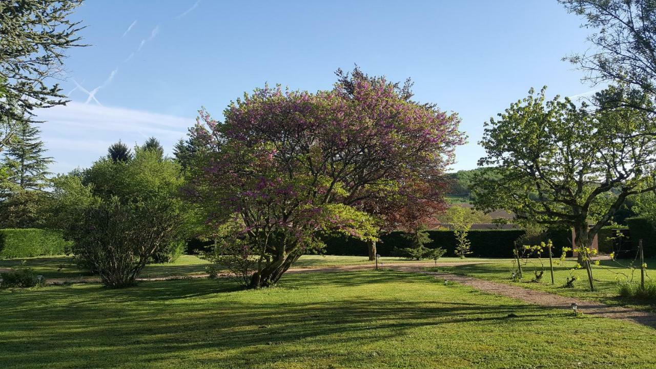 B&B Des Histoires D'Anges - Cote Jardin - Accueil Velo Tournus Exterior photo